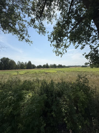 Działka Sprzedaż Sępochów