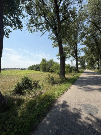 Działka Sprzedaż Sępochów