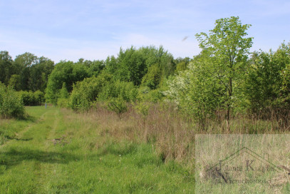 Działka Sprzedaż Kajetany